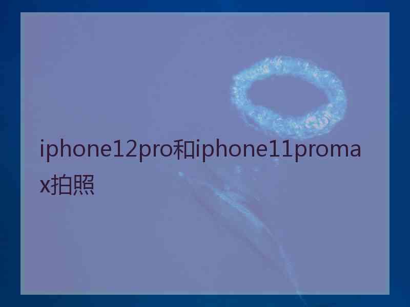 iphone12pro和iphone11promax拍照