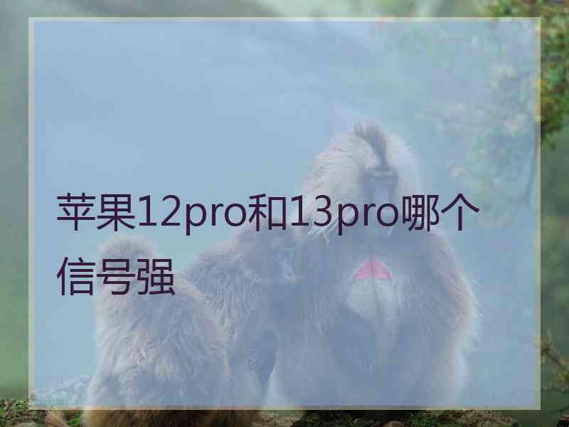 苹果12pro和13pro哪个信号强