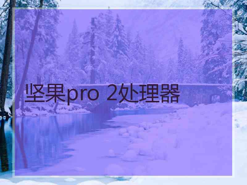 坚果pro 2处理器