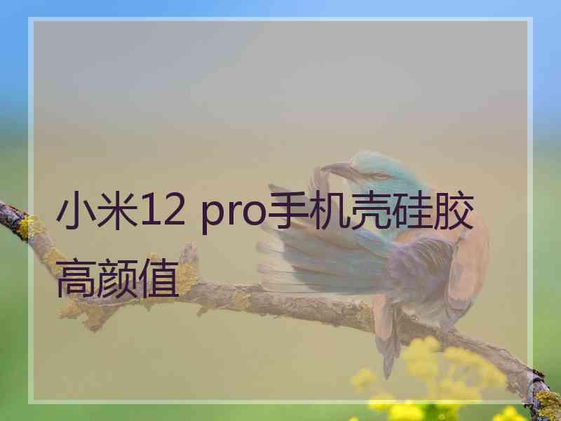 小米12 pro手机壳硅胶高颜值