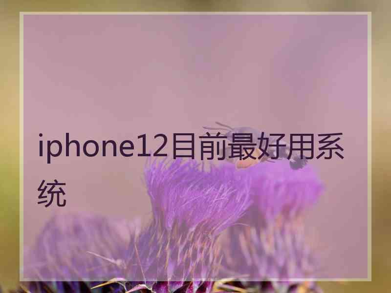 iphone12目前最好用系统