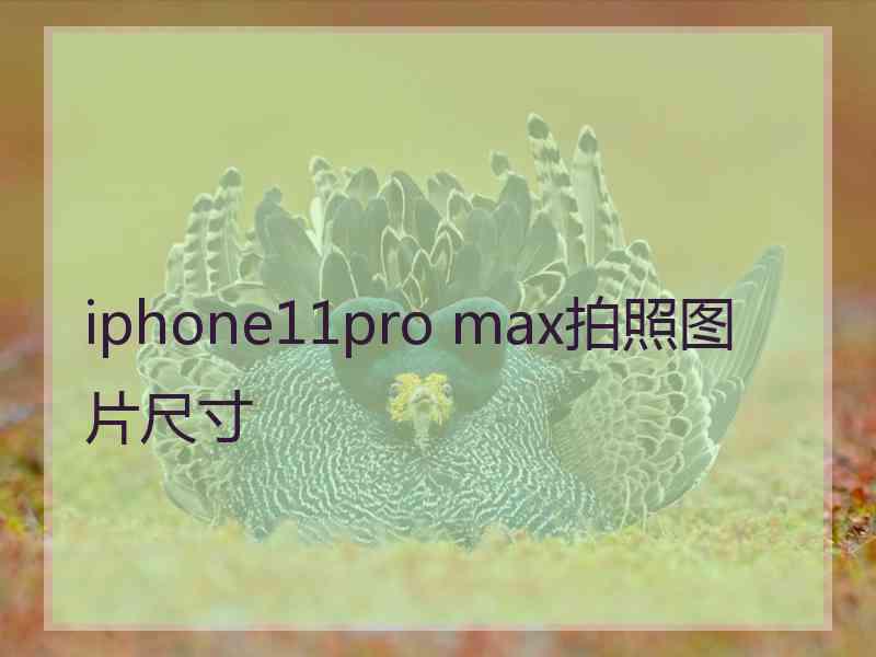 iphone11pro max拍照图片尺寸