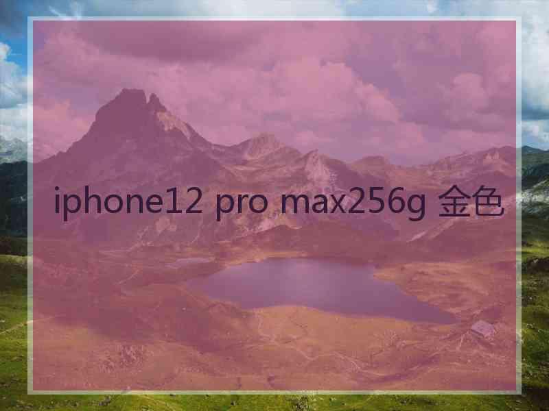 iphone12 pro max256g 金色