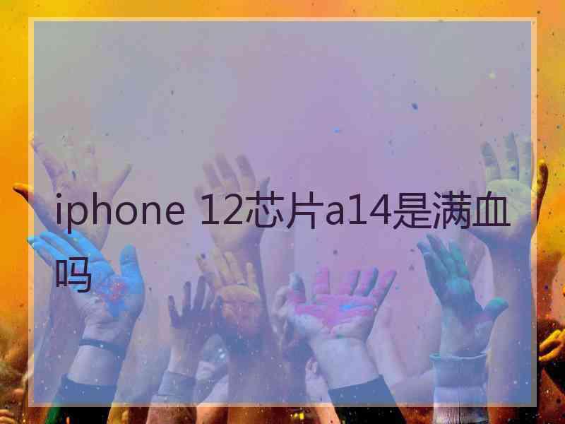 iphone 12芯片a14是满血吗