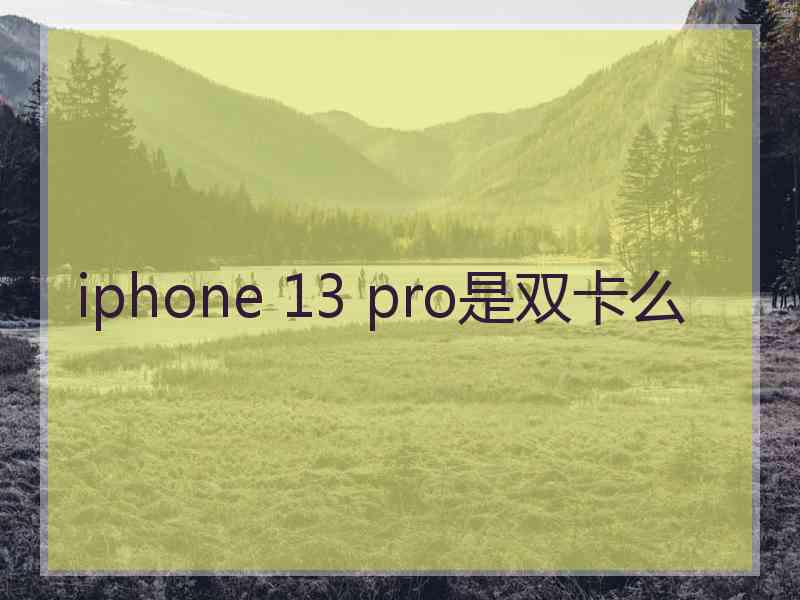 iphone 13 pro是双卡么