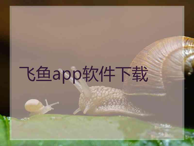 飞鱼app软件下载