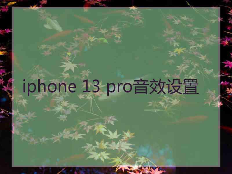 iphone 13 pro音效设置