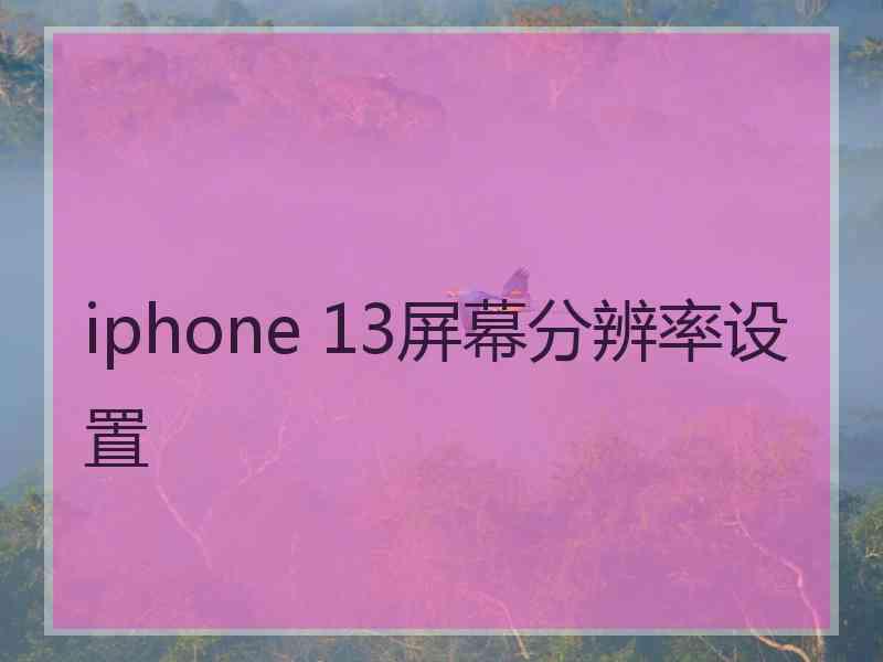 iphone 13屏幕分辨率设置