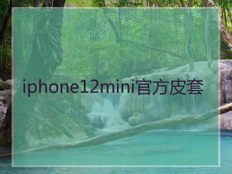 iphone12mini官方皮套