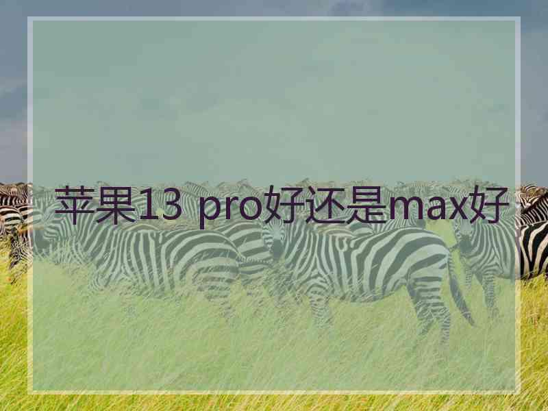 苹果13 pro好还是max好