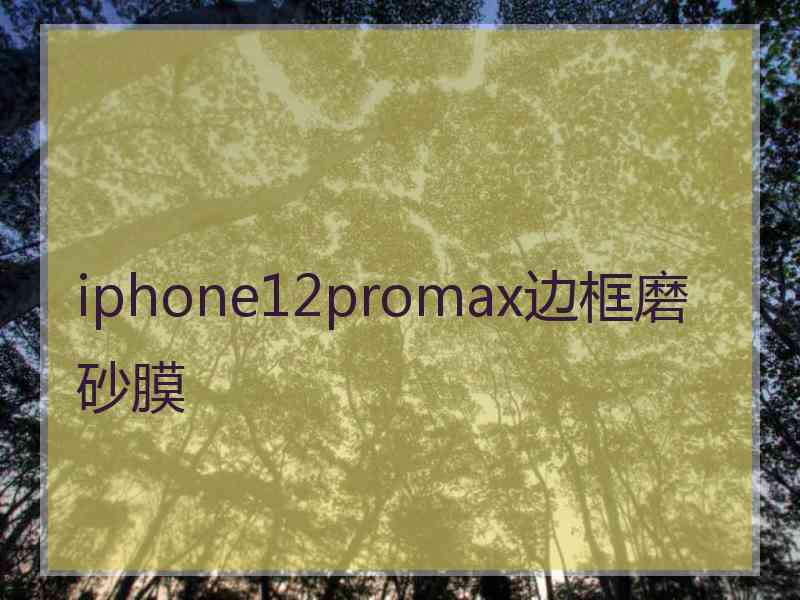 iphone12promax边框磨砂膜