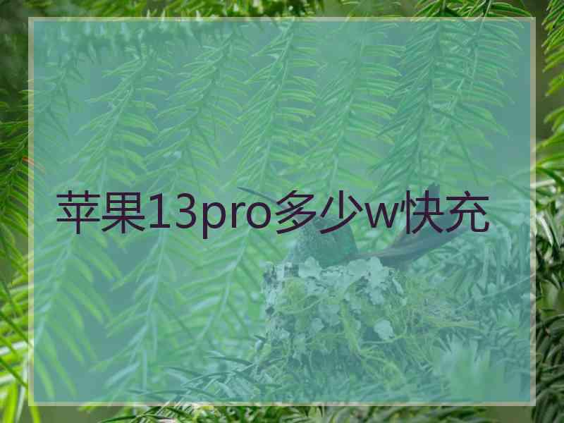 苹果13pro多少w快充