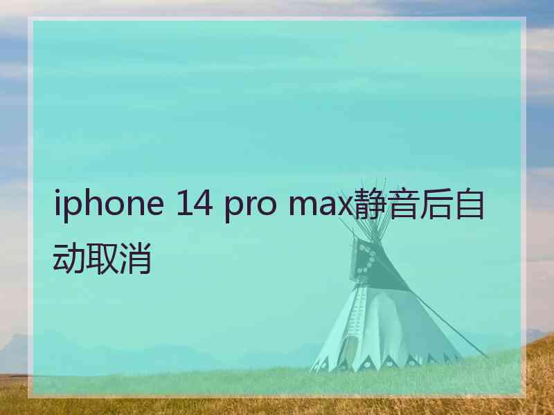 iphone 14 pro max静音后自动取消