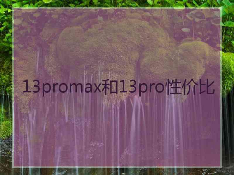 13promax和13pro性价比