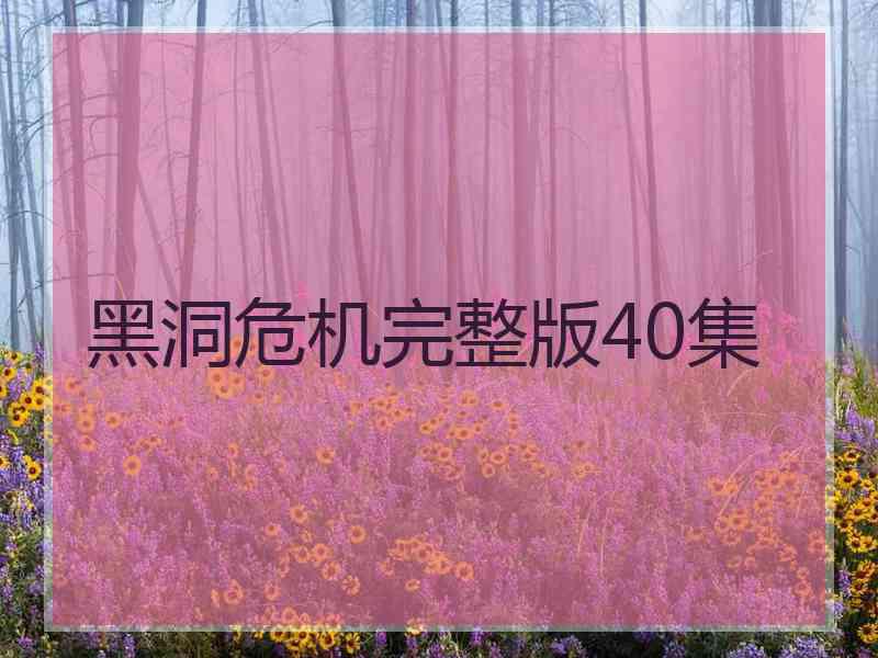 黑洞危机完整版40集