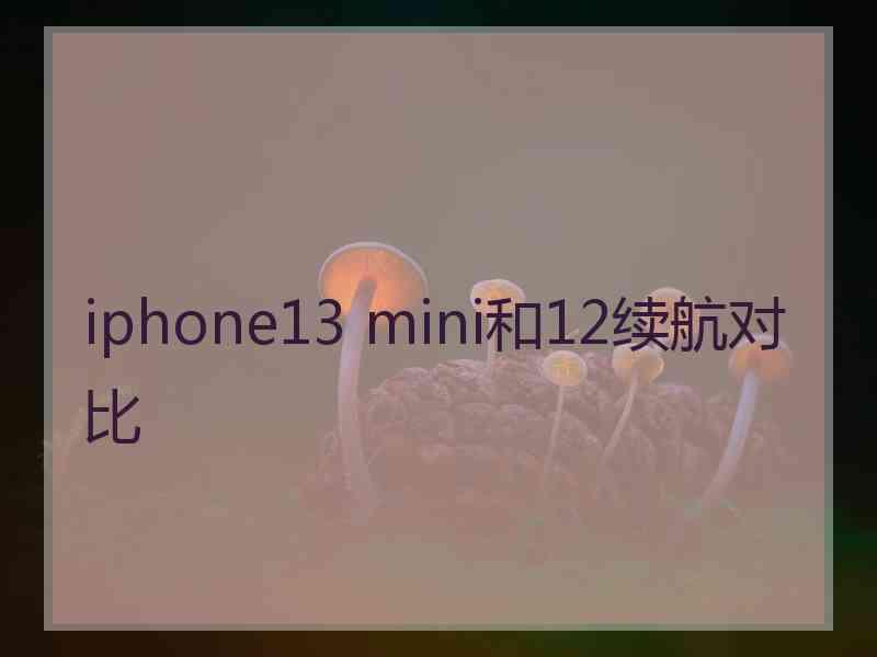 iphone13 mini和12续航对比