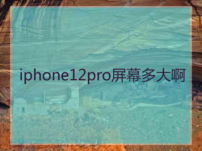 iphone12pro屏幕多大啊