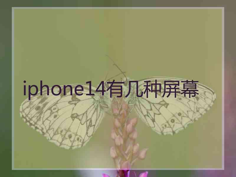 iphone14有几种屏幕