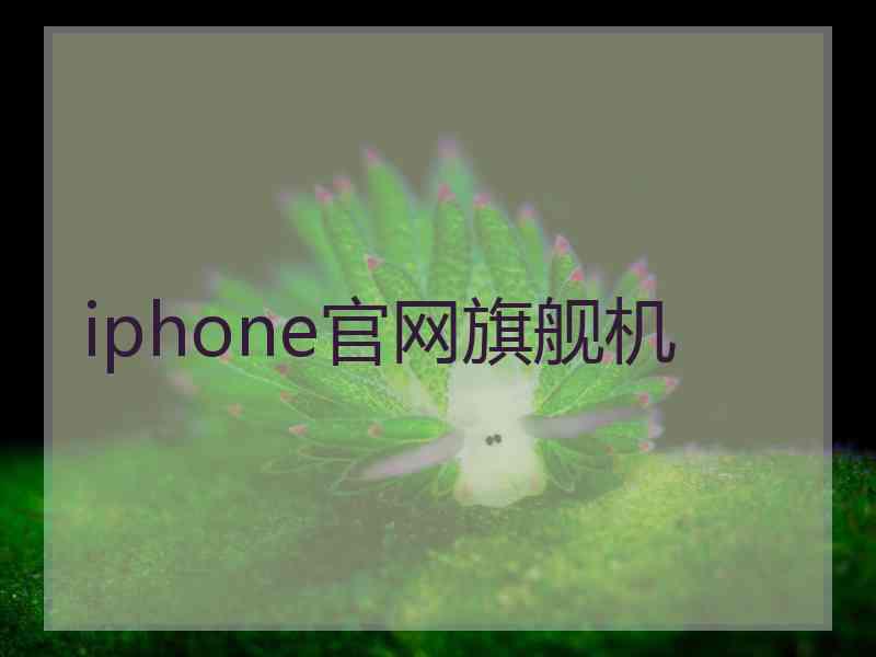 iphone官网旗舰机