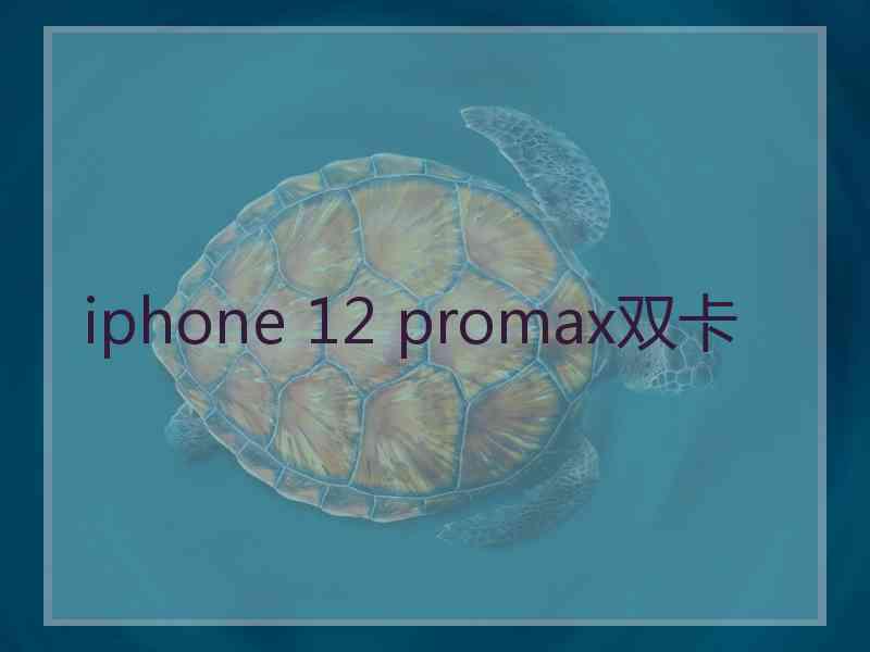 iphone 12 promax双卡