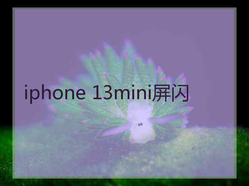 iphone 13mini屏闪