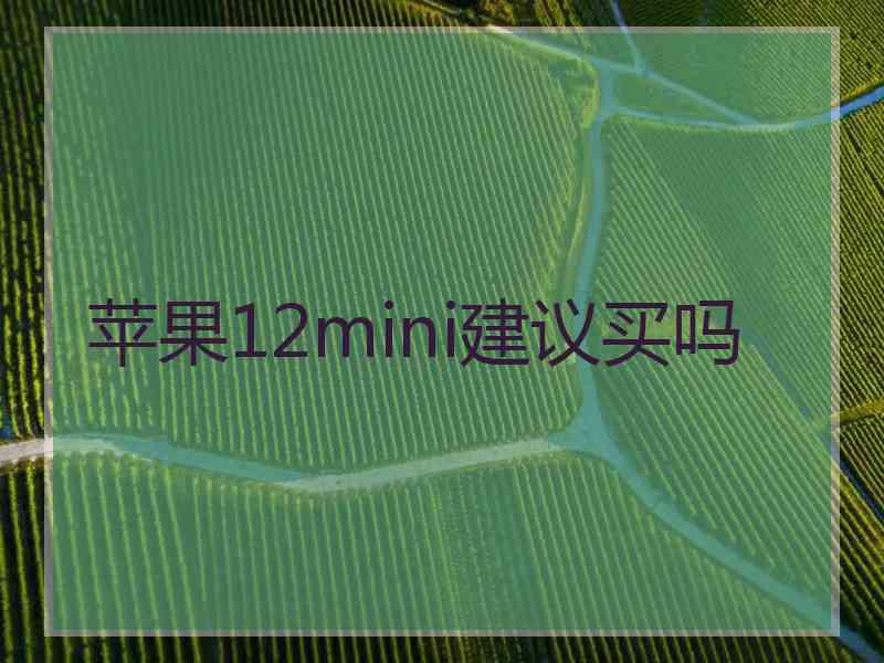 苹果12mini建议买吗