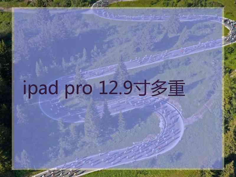 ipad pro 12.9寸多重