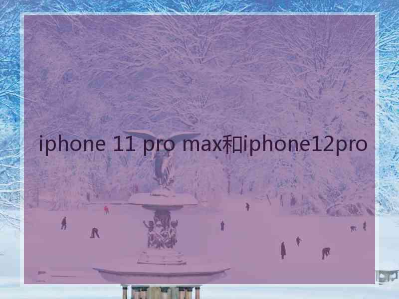 iphone 11 pro max和iphone12pro