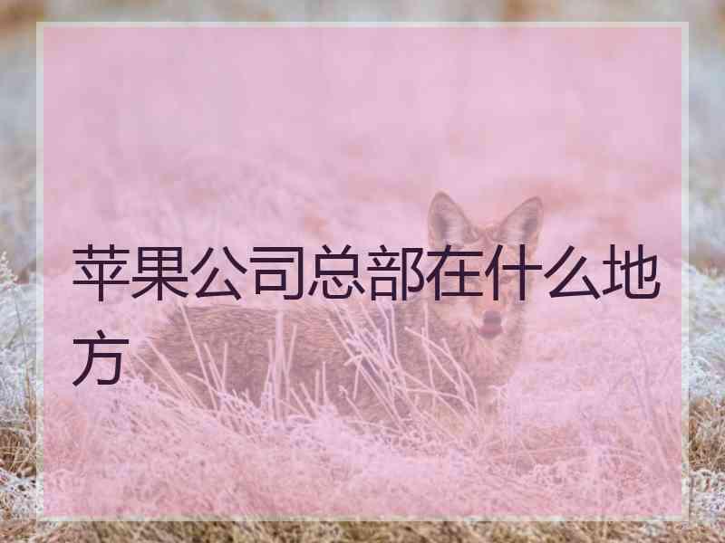 苹果公司总部在什么地方