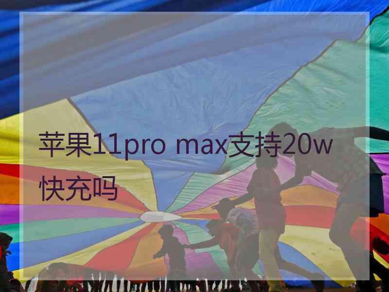 苹果11pro max支持20w快充吗