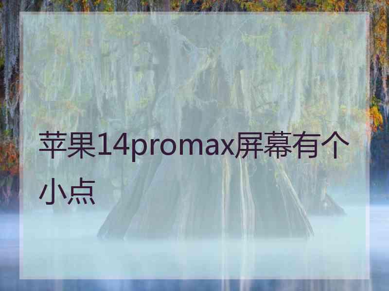 苹果14promax屏幕有个小点