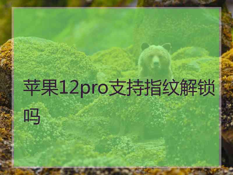 苹果12pro支持指纹解锁吗