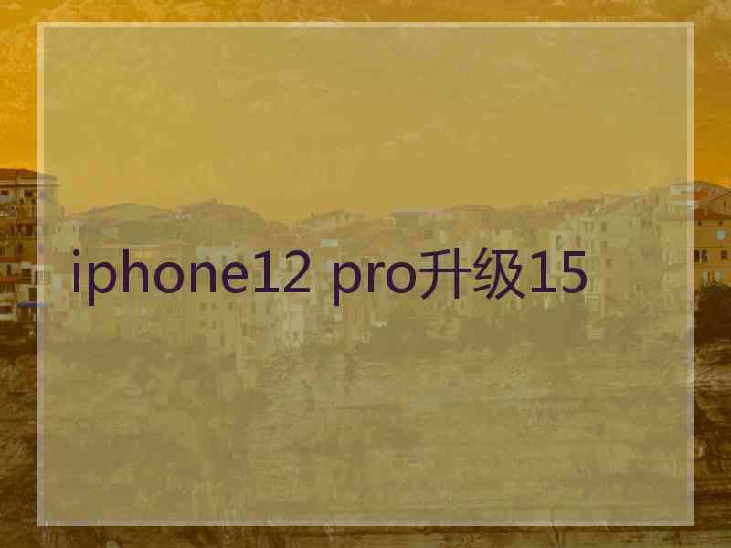 iphone12 pro升级15