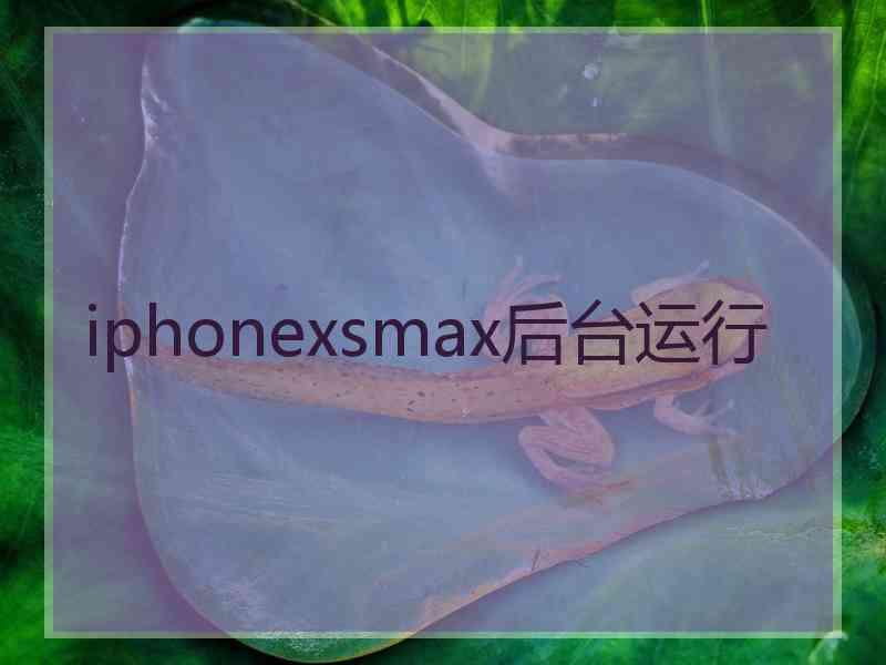 iphonexsmax后台运行