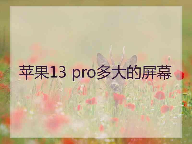 苹果13 pro多大的屏幕