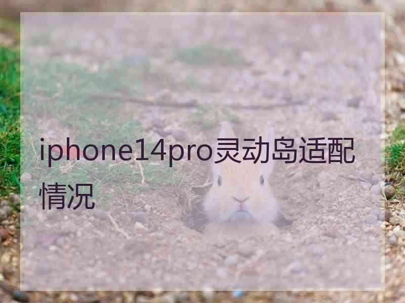 iphone14pro灵动岛适配情况