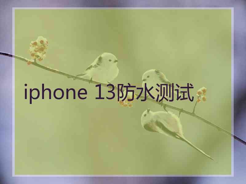 iphone 13防水测试