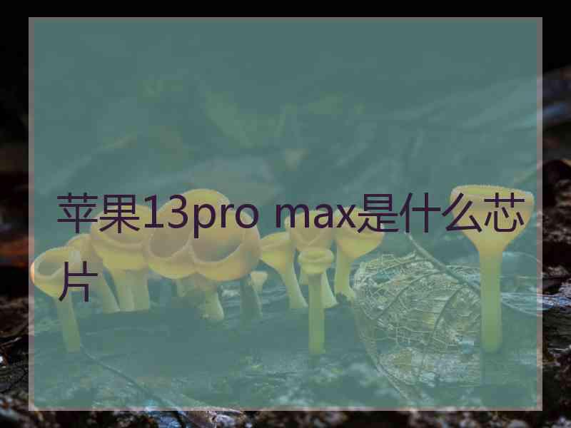 苹果13pro max是什么芯片