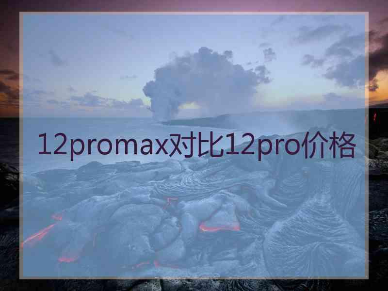 12promax对比12pro价格