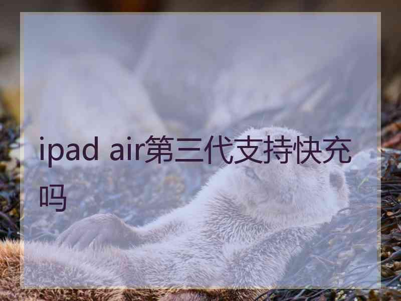 ipad air第三代支持快充吗