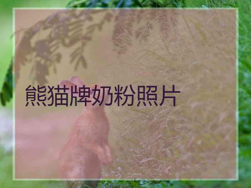 熊猫牌奶粉照片