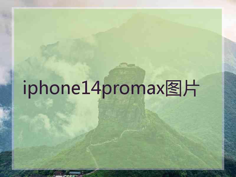 iphone14promax图片