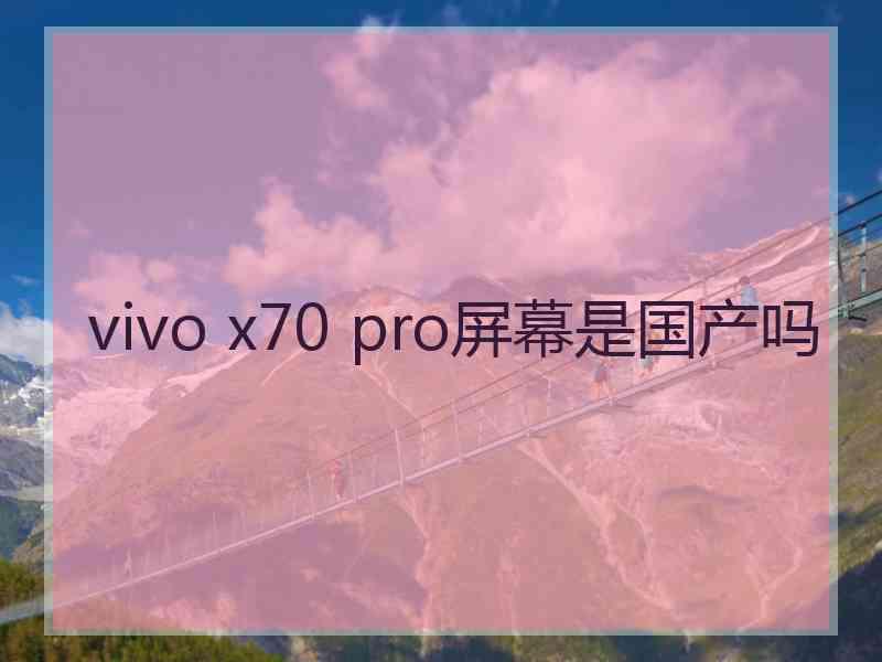 vivo x70 pro屏幕是国产吗