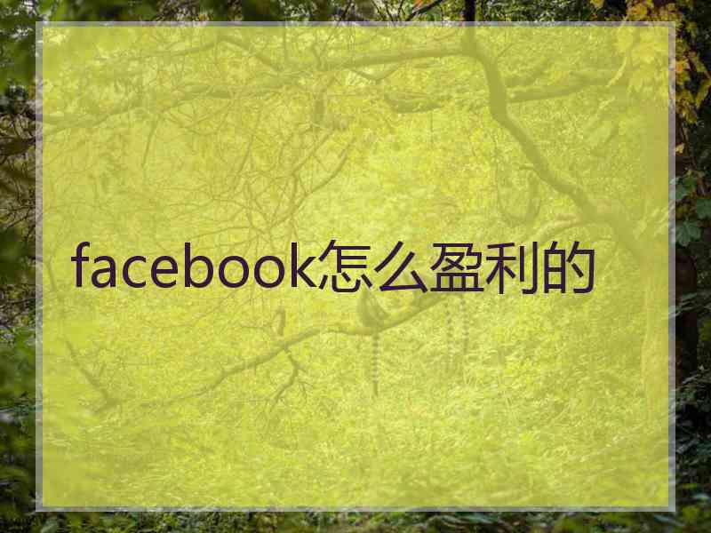 facebook怎么盈利的