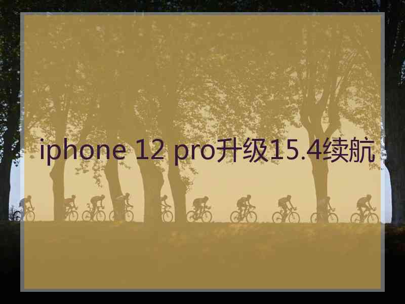 iphone 12 pro升级15.4续航