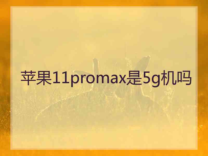 苹果11promax是5g机吗