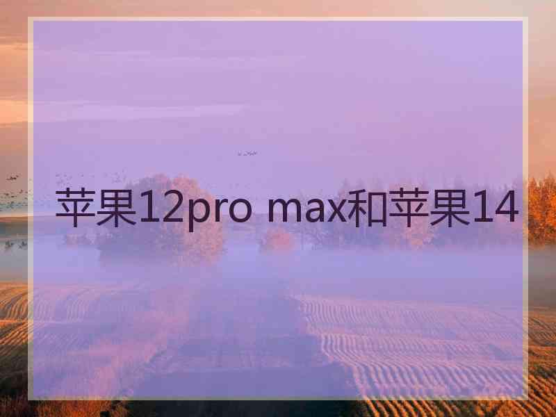 苹果12pro max和苹果14