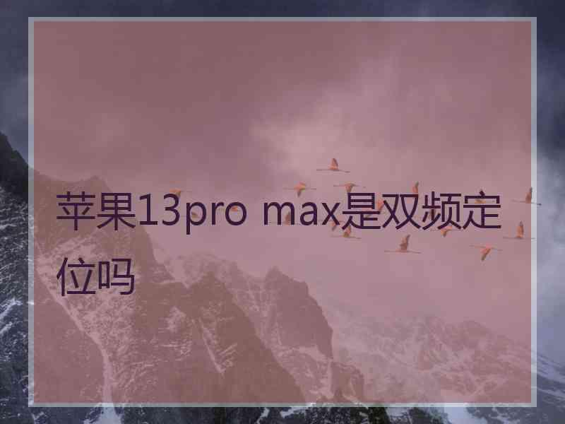 苹果13pro max是双频定位吗