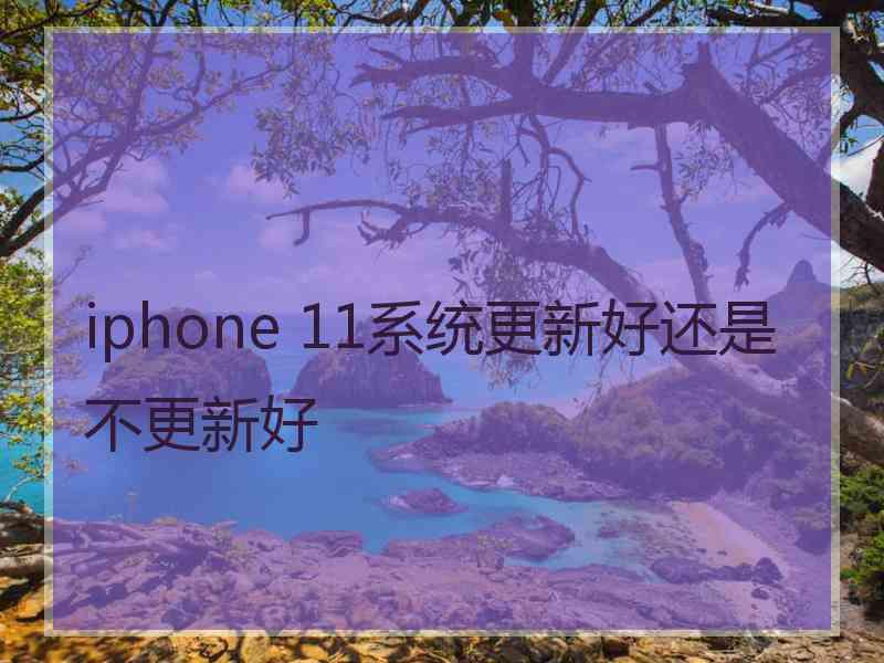 iphone 11系统更新好还是不更新好