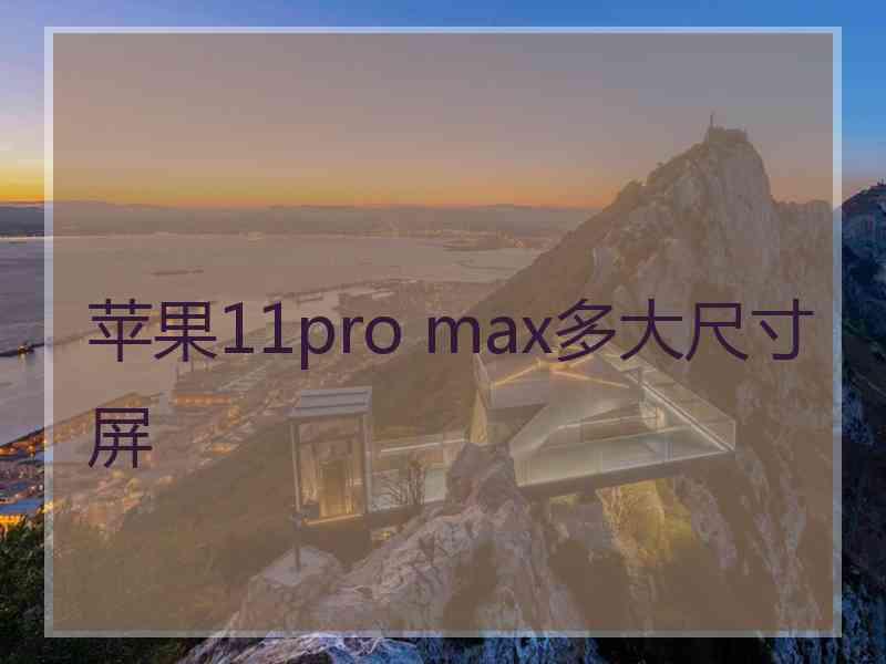 苹果11pro max多大尺寸屏